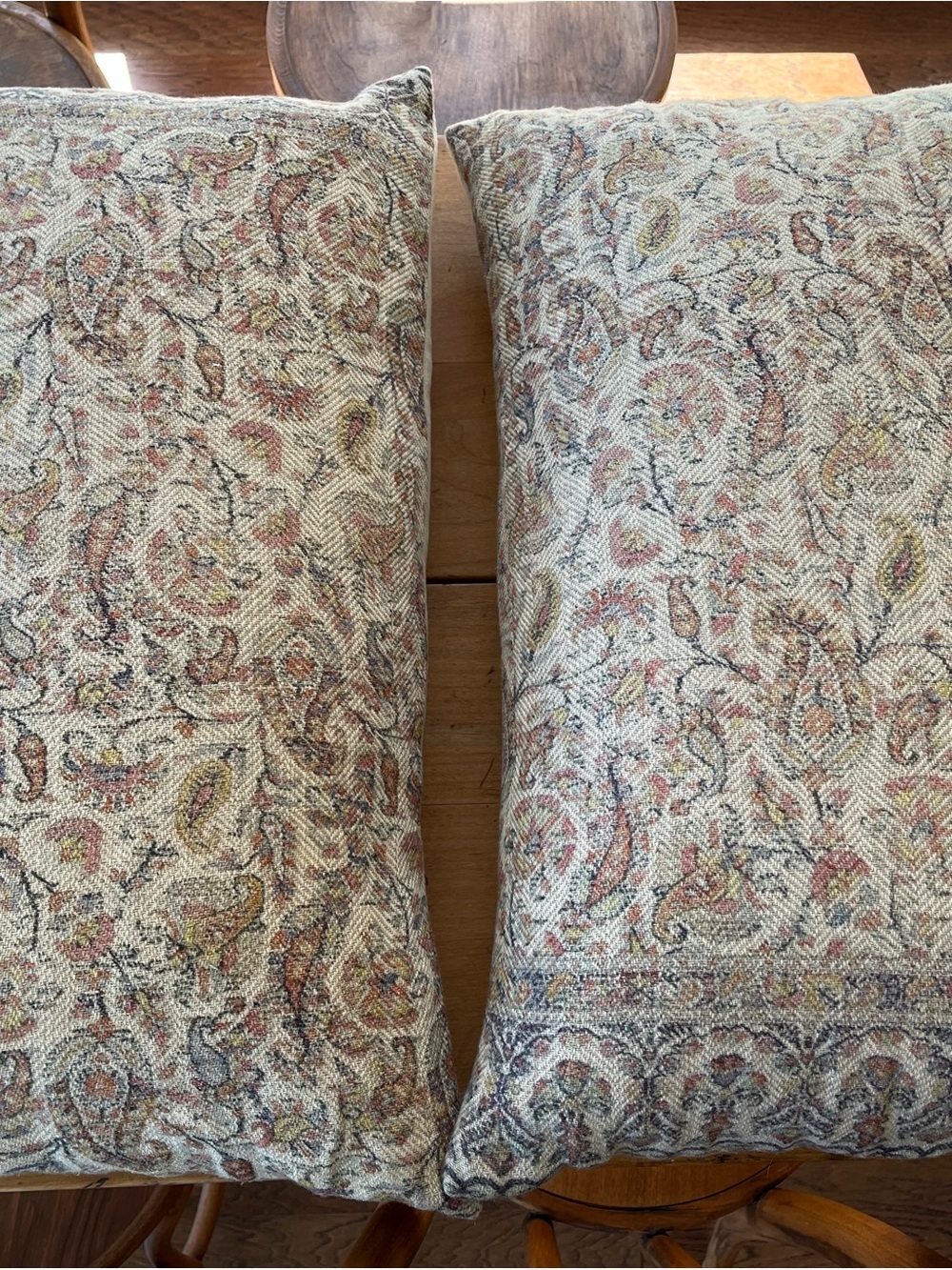 Pair of Pottery Barn Paisley Accent Pillows in Jaxton Print